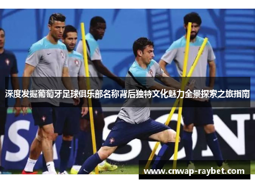 深度发掘葡萄牙足球俱乐部名称背后独特文化魅力全景探索之旅指南 深度发掘葡萄牙足球俱乐部名称背后独特文化魅力全景探索之旅指南