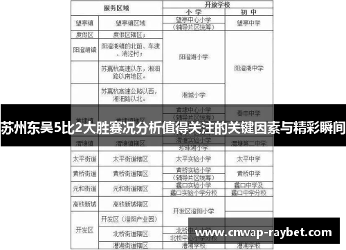 苏州东吴5比2大胜赛况分析值得关注的关键因素与精彩瞬间