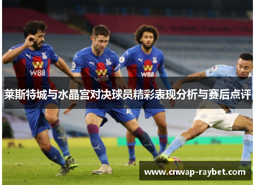 莱斯特城与水晶宫对决球员精彩表现分析与赛后点评 莱斯特城与水晶宫对决球员精彩表现分析与赛后点评