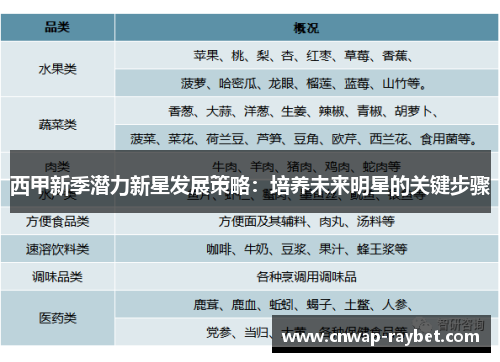 西甲新季潜力新星发展策略：培养未来明星的关键步骤